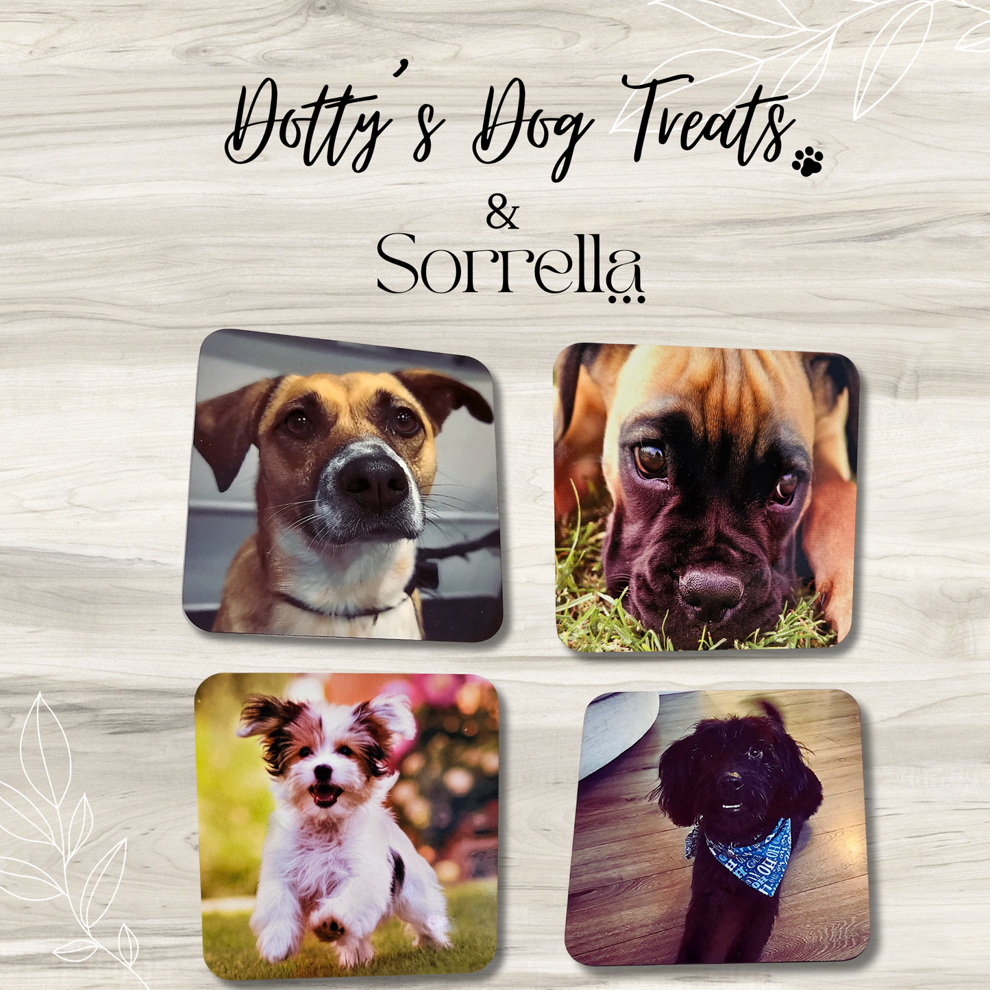 Glossy Pet Coasters