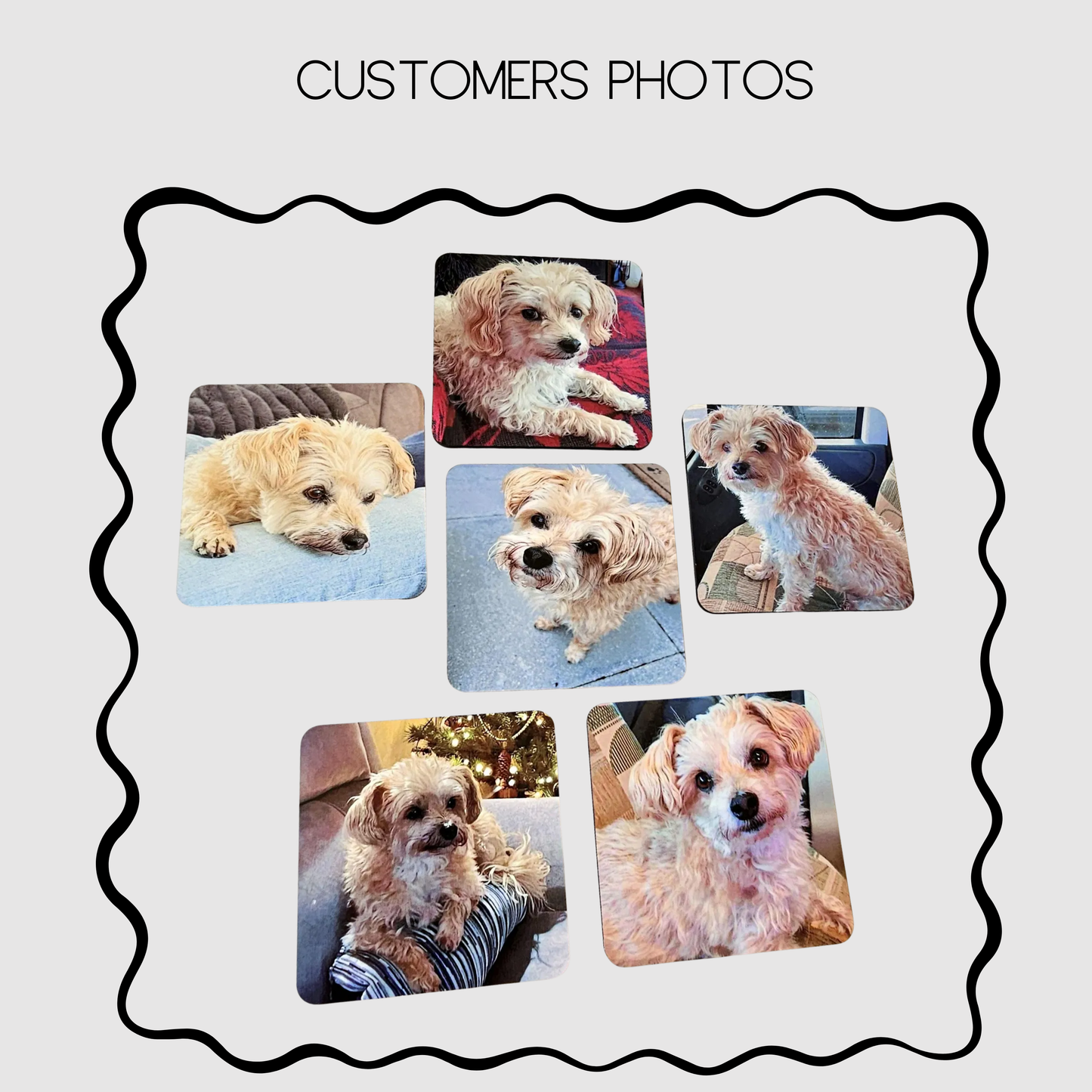 Personalised Glossy Pet Photo Coasters