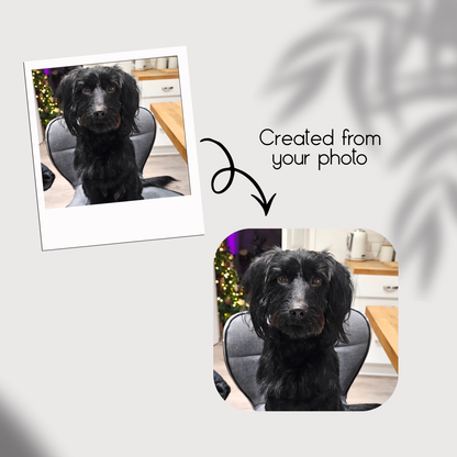 Personalised Glossy Pet Photo Coasters